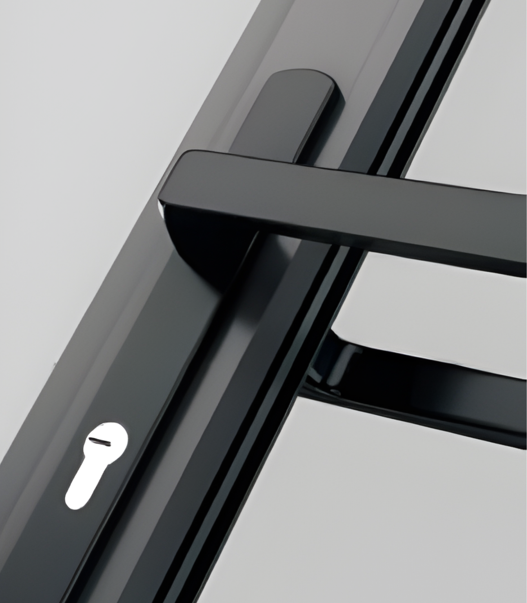 VLX 100 Swing / Entry Door in Doral, FL | TruePane Windows & Doors - detail 3