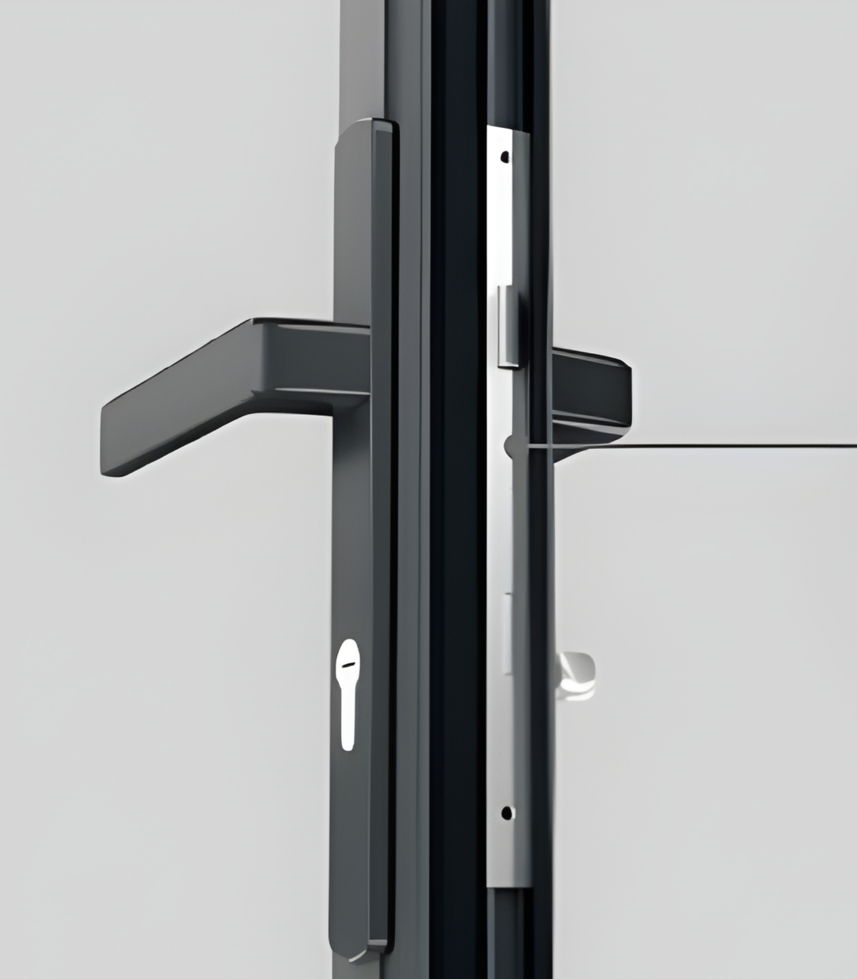 VLX 100 Swing / Entry Door in Doral, FL | TruePane Windows & Doors - detail 5